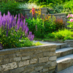 A stone staircase leads through a terraced garden filled with blooming purple, pink, and yellow flowers, lush green plants, and neatly trimmed grass on a sunny day.