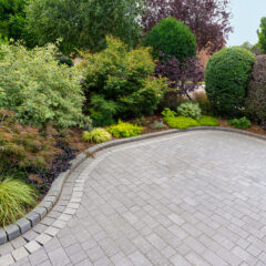 A paved driveway with a curved edge borders a lush garden filled with various green shrubs, bushes, and small trees. The plants are well-maintained and create a vibrant, landscaped look.